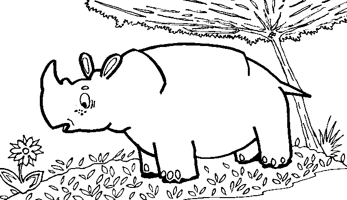 раскраска носорога