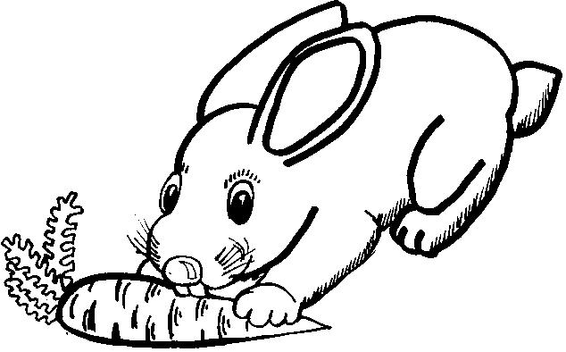 Раскраска MeriMeri Постер-разукрашка Кролик