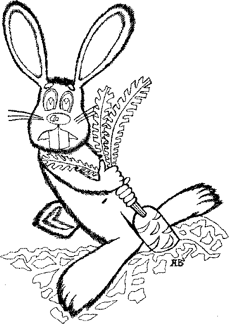 раскраска зайца