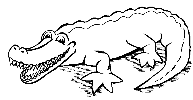крокодил раскраска