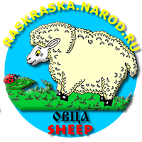 Sheep outline picture for kids