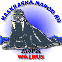 Walrus outline image for print