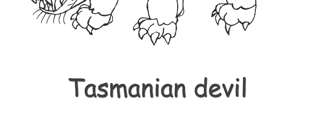 tasmanian devil animal coloring pages - photo #9