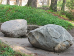 Boulders in the park