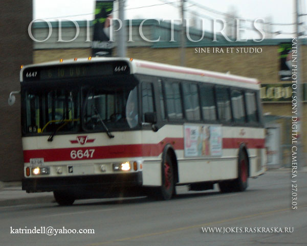 городской автобус / city bus