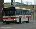 маршрутный автобус / city bus