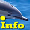 dolphin info