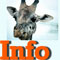 giraffe information