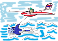 sailplane and dolphin