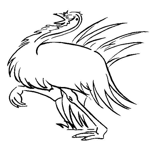 emu picture