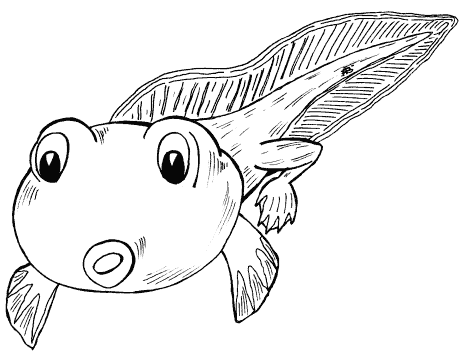 tadpole cartoon