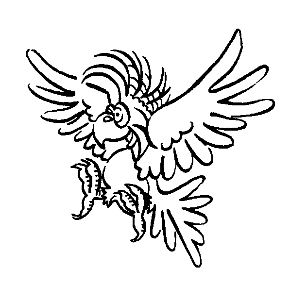 Parrot outline picture for print and paint raskraska