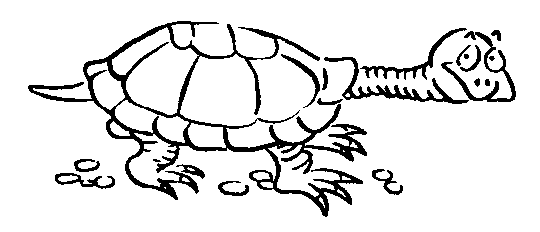 черепаха раскраска