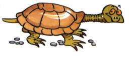 Черепаха для детей Tortoise