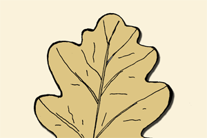Раскраска - Лист дерева