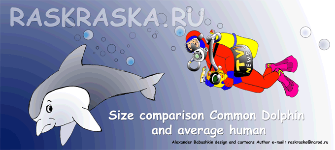 Common Dolphin picture size comparison an average human