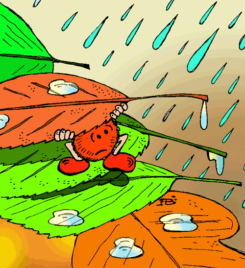 дождь