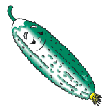 Огурец / Cucumber