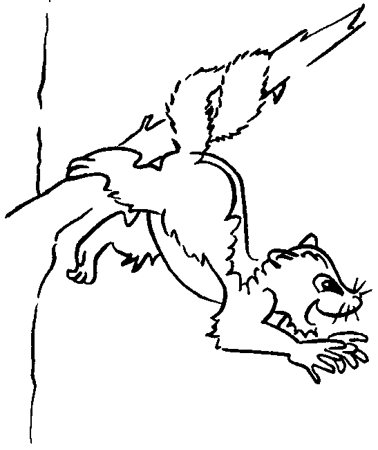 Possum outline picture for print and paint. Raskraska coloring book ...